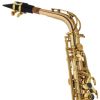 Cecilio AS-500SE Special Edition Gold Brass Alto Saxophone