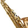 Cecilio AS-500SE Special Edition Gold Brass Alto Saxophone