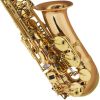 Cecilio AS-500SE Special Edition Gold Brass Alto Saxophone