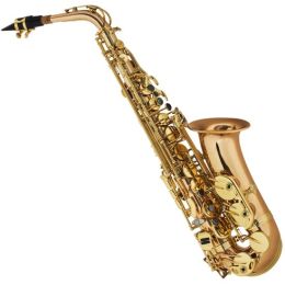 Cecilio AS-500SE Special Edition Gold Brass Alto Saxophone