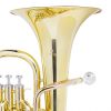 Cecilio BR-380L 3Series Intermediate Bb Baritone Horn - Lacquer Yellow Brass Body & Bell