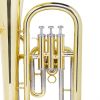 Cecilio BR-380L 3Series Intermediate Bb Baritone Horn - Lacquer Yellow Brass Body & Bell