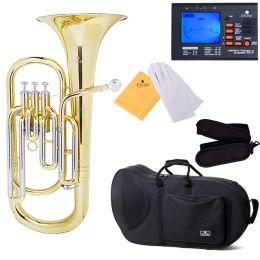 Cecilio BR-380L 3Series Intermediate Bb Baritone Horn - Lacquer Yellow Brass Body & Bell