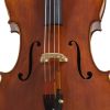 CCO-800SE Special Edition Cello