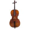 CCO-800SE Special Edition Cello