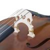 Cecilio CDB-100 Upright Double Bass Rosewood Fingerboard, Ebony Tailpiece
