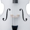 Cecilio CDB-White Upright Double Bass Rosewood Fingerboard, Ebony Tailpiece