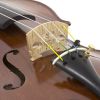 Cecilio CVN-800SE Special Edition Violin