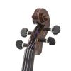 Cecilio CVN-800SE Special Edition Violin