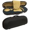 Cecilio CVN-800SE Special Edition Violin