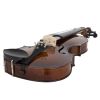 Cecilio CVN-EAV Ebony Fitted Solidwood Violin in Antique Varnish Finish