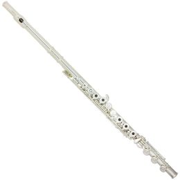 Cecilio FE-500SE Special Edition Solid Silver Body and Headjoint Key of C Flute