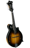 Rover RM-75 Mandolin
