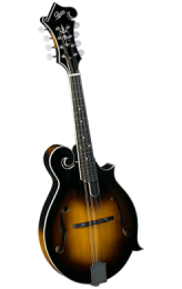 Rover RM-75 Mandolin