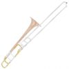 Cecilio TB-382 Intermediate Trombone Tenor with F Attachment