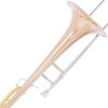 Cecilio TB-382 Intermediate Trombone Tenor with F Attachment
