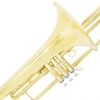 Cecilio TB-480 Bb Monel Piston Valve Trombone