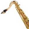Cecilio TS-500SE Special Edition Gold Brass Tenor Saxophone