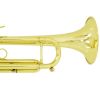Cecilio TT-500SEL Special Edition Lacquered Yellow Brass Bb Trumpet
