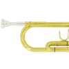 Cecilio TT-500SEL Special Edition Lacquered Yellow Brass Bb Trumpet