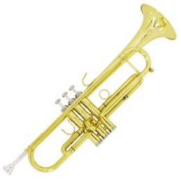 Cecilio TT-500SEL Special Edition Lacquered Yellow Brass Bb Trumpet