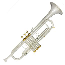 Cecilio TT-500SES Special Edition Silver Plated Yellow Brass Bb Trumpet