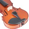Cecilio CVN-100 Rosewood Fitted Student Violin Package and Chromatic Tuner