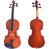 Cecilio CVN-100 Rosewood Fitted Student Violin Package and Chromatic Tuner