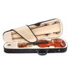 Cecilio CVN-200 Rosewood Fitted Student Violin Instrument