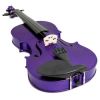 Cecilio CVN-Purple Metallic Purple Finish, Ebony Fitted, Inlaid Purfling Solid Maple Wood Violin Instrument