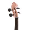 Cecilio CVN-Pink Metallic Pink Finish, Ebony Fitted, Inlaid Purfling, Solid Maple Wood Violin Instrument