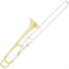 Cecilio TB-381 Gold Lacquer Brass Bb Trombone