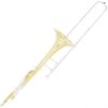 Cecilio TB-381 Gold Lacquer Brass Bb Trombone
