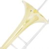 Cecilio TB-381 Gold Lacquer Brass Bb Trombone